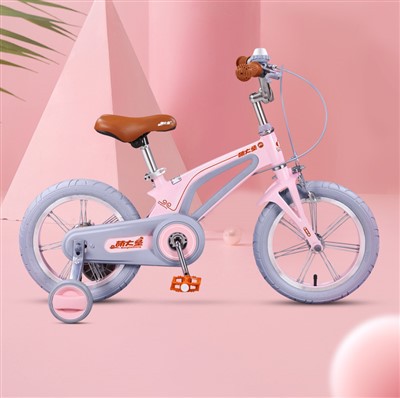 Inovativni magnezijum bicikl